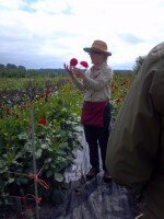 Diane Szukovathy of Jello Mold Farm shows off her stunning dahlias.